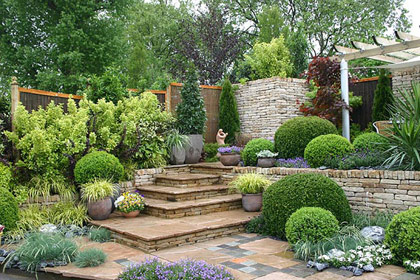 Chelsea Flower Show 